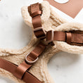 Load image into Gallery viewer, Brown Aviator Adjustable Neck Harness