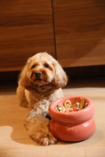 Load image into Gallery viewer, Soufflé Pet Bowl - Rose Pink