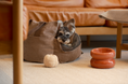 Load image into Gallery viewer, Soufflé Pet Bowl - Rose Pink