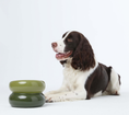 Load image into Gallery viewer, Soufflé Pet Bowl - Avocado Green