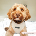 Load image into Gallery viewer, Brown Tweed Adjustable Neck Harness