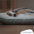 Load image into Gallery viewer, Sleepy Burrows Bed in Mink Bouclé