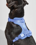Load image into Gallery viewer, Wild One - Harness: Moonstone / MEDIUM
