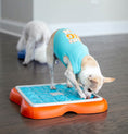 Load image into Gallery viewer, Outward Hound - Nina Ottosson - Dog Challenge Slider (Level 3)
