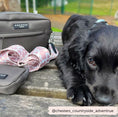 Load image into Gallery viewer, Cocopup London - 🤎Dog Walking Bag - Mocha