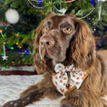 Load image into Gallery viewer, Cocopup London - 🦌Ralphie Reindeer Sailor Bow Tie