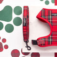 Load image into Gallery viewer, Cocopup London - ❤️Tartan Lead