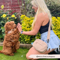 Load image into Gallery viewer, Dog Walking Bag – Teddy Rupert