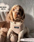 Load image into Gallery viewer, Cocopup London - 🧸 Teddy Rupert Adjustable Neck Harness