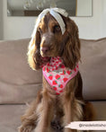 Load image into Gallery viewer, Pupberry Fields Adjustable Neck Harness