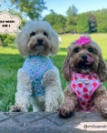Load image into Gallery viewer, Dinopaws Adjustable Neck Harness