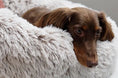 Load image into Gallery viewer, Snooza - Calming Cuddler Dog Bed - Mink