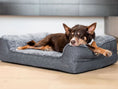 Load image into Gallery viewer, Ortho Dream Sofa - Chinchilla