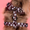 Load image into Gallery viewer, Polka Dots: Adjustable Harness