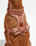 Load image into Gallery viewer, Wild One - Harness: Moonstone / MEDIUM