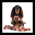 Load image into Gallery viewer, Pablo & Co. Boutique - Kensington: Dog Leash: 1.5cm