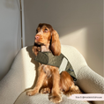 Load image into Gallery viewer, LUXE Quilted Dog Coat - Country Khaki