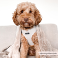 Load image into Gallery viewer, Brown Tweed Adjustable Neck Harness