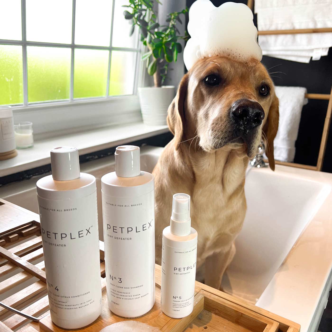 Grooming Collection