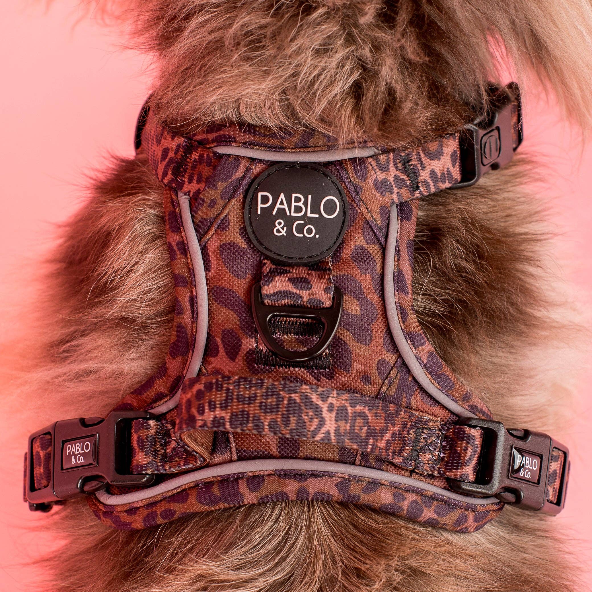 Pablo & Co. Boutique - Leopard: No Pull Adventure Harness: XS
