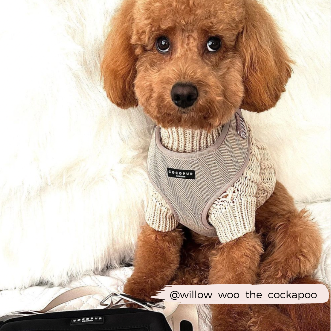 Brown Tweed Adjustable Neck Harness