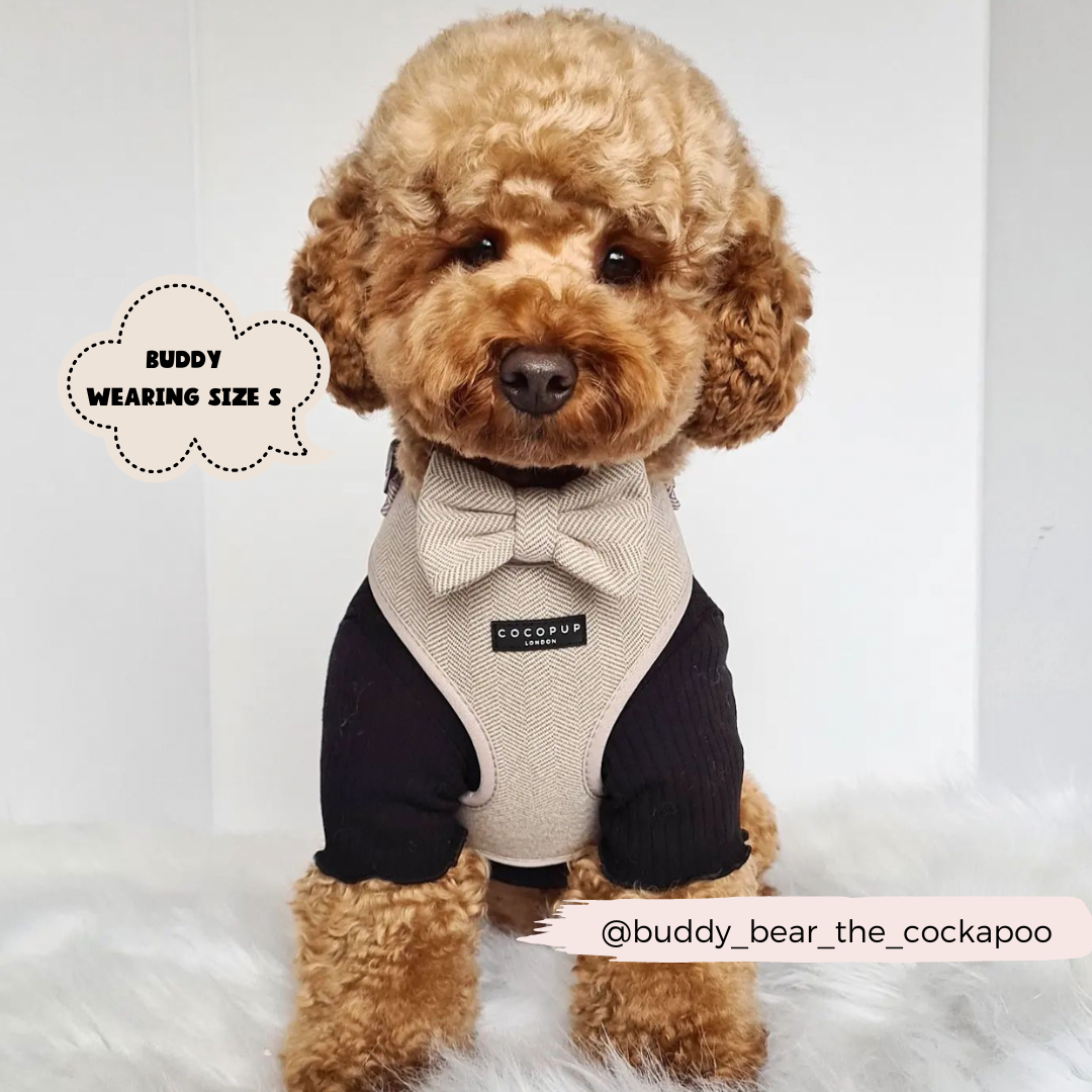 Brown Tweed Adjustable Neck Harness