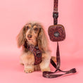 Load image into Gallery viewer, Leopard: Dog Leash
