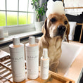 Load image into Gallery viewer, Lords and Labradors - PetPlex Dirt Defeater Collection
