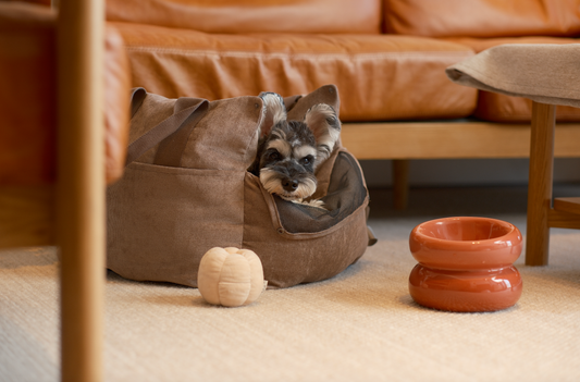 PEHOM - Soufflé Pet Bowl - Rose Pink
