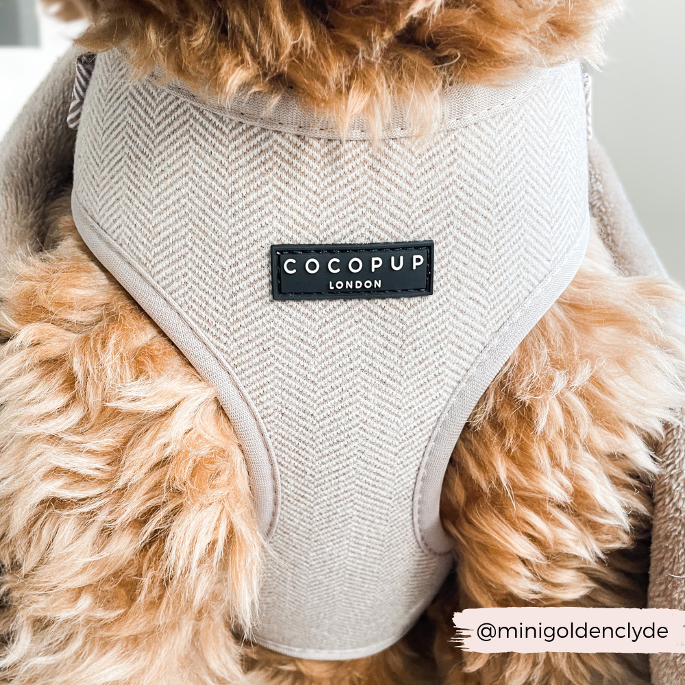 Brown Tweed Adjustable Neck Harness