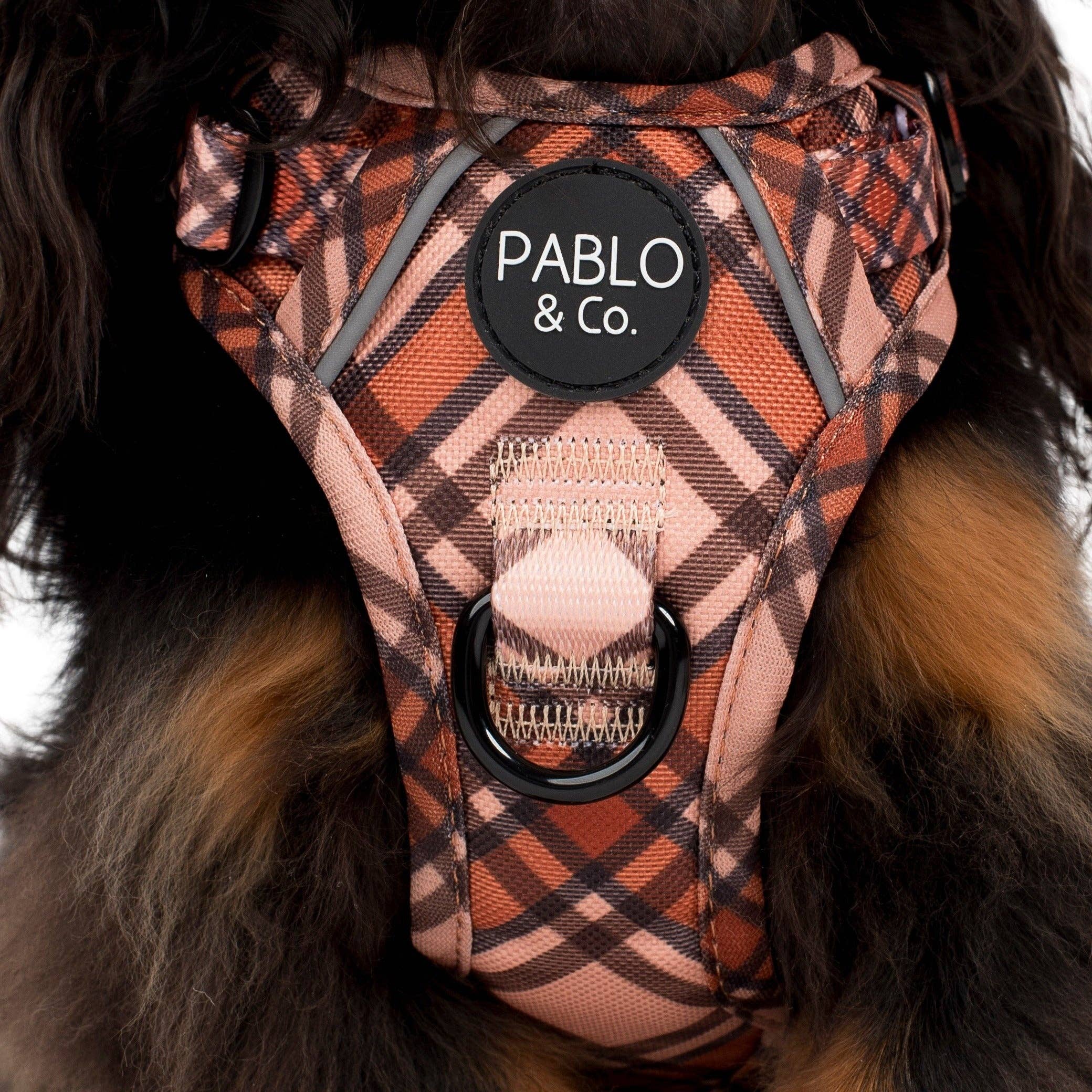 Pablo & Co. Boutique - Kensington: No Pull Adventure Harness: M
