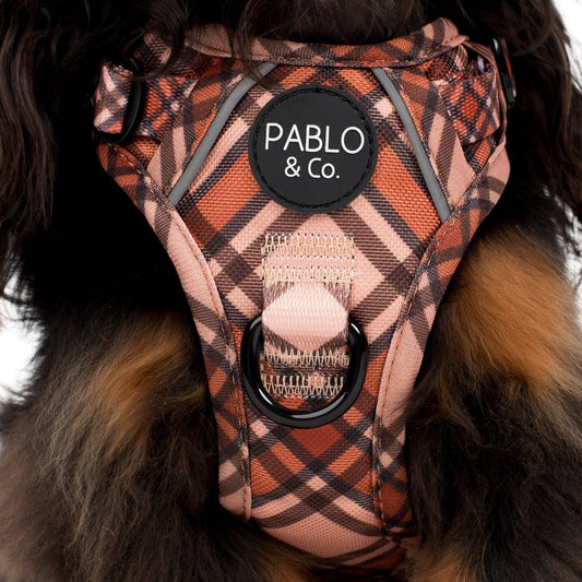 Pablo & Co. Boutique - Kensington: No Pull Adventure Harness: M