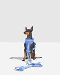 Load image into Gallery viewer, Hands-Free Rope Leash: Moonstone
