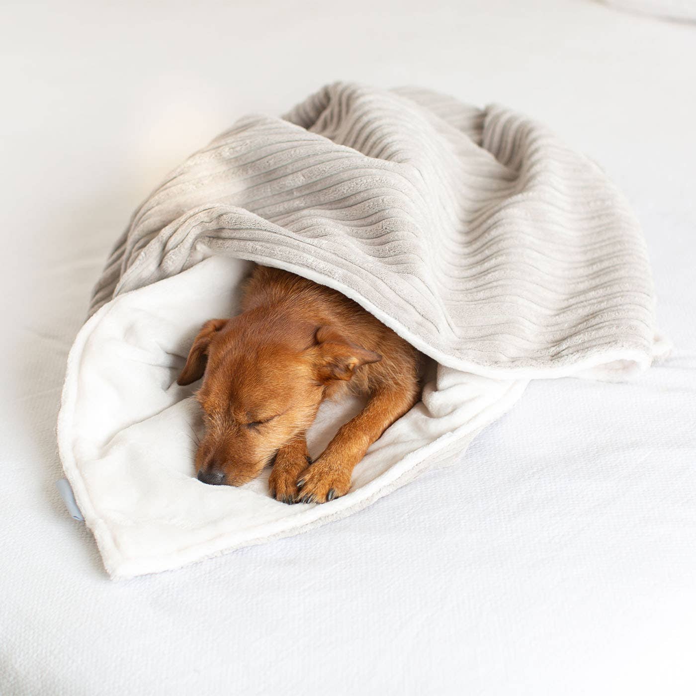 Dog & Puppy Blanket in Light Grey Essentials Plush