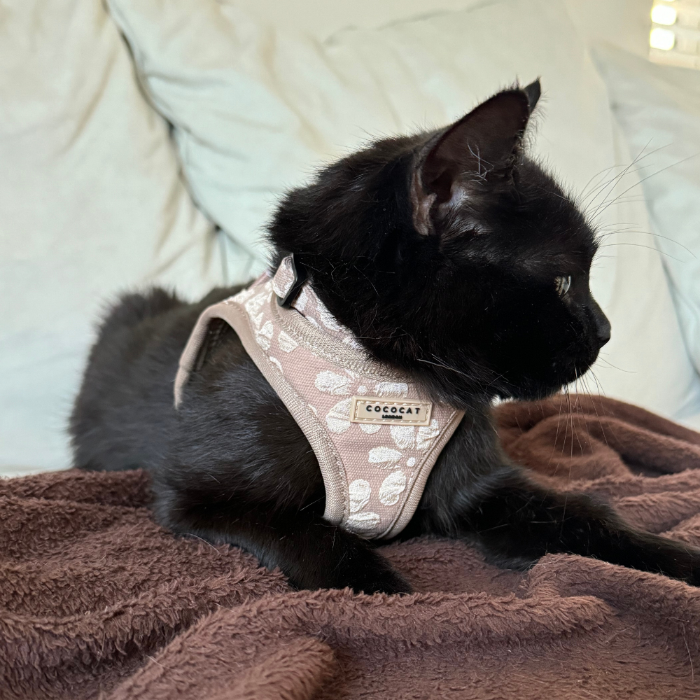 Cocopup London - Cat Harness - Mocha Flower