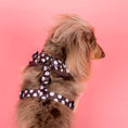 Load image into Gallery viewer, Polka Dots: Adjustable Harness
