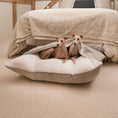 Load image into Gallery viewer, Sleepy Burrows Bed in Mink Bouclé
