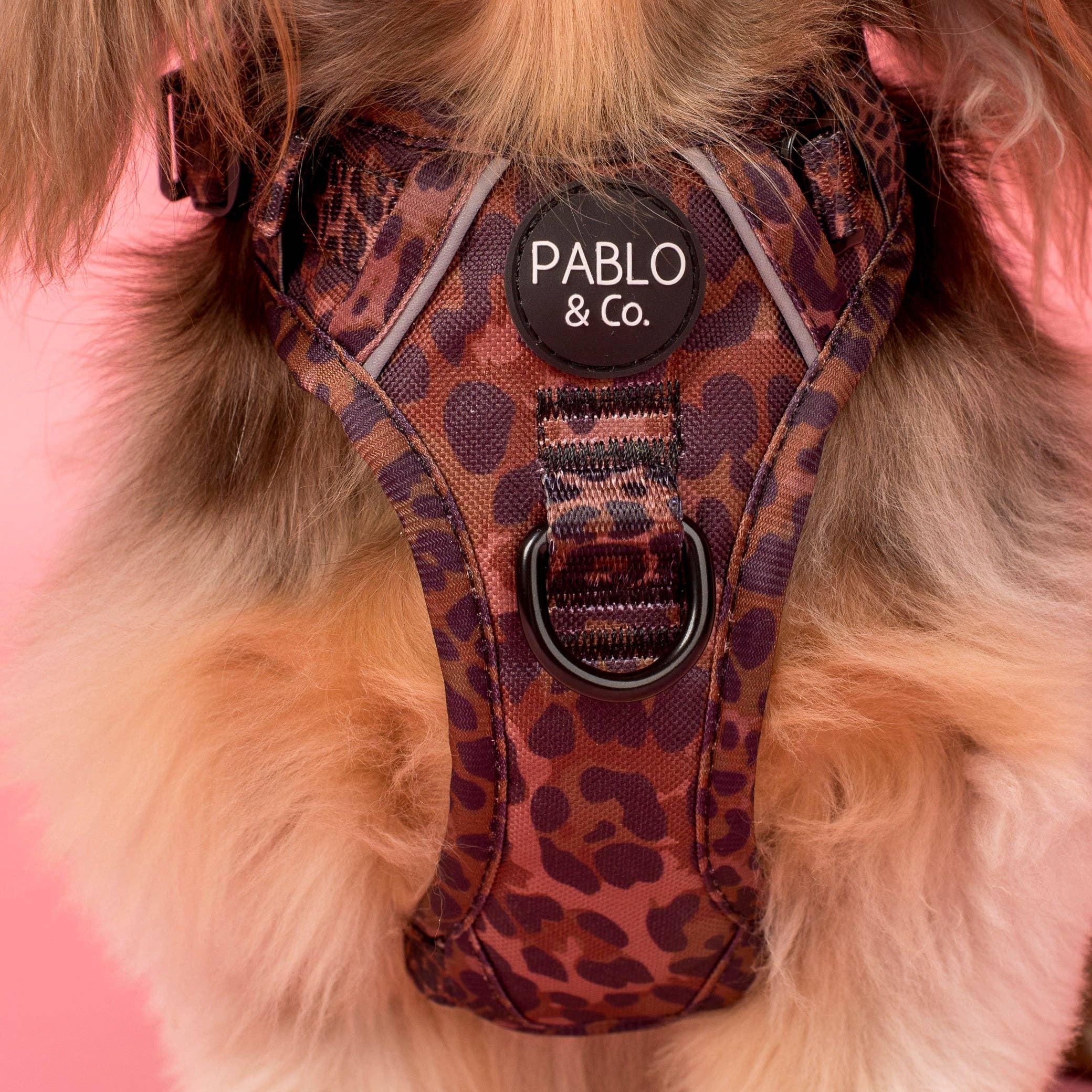 Pablo & Co. Boutique - Leopard: No Pull Adventure Harness: XS