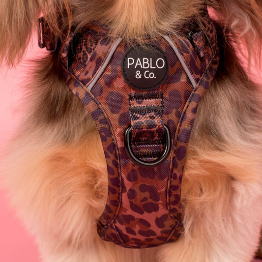 Pablo & Co. Boutique - Leopard: No Pull Adventure Harness: XL