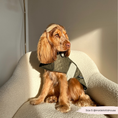Load image into Gallery viewer, LUXE Quilted Dog Coat - Country Khaki
