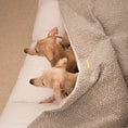 Load image into Gallery viewer, Sleepy Burrows Bed in Mink Bouclé
