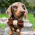 Load image into Gallery viewer, Brown Aviator Adjustable Neck Harness
