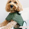 Load image into Gallery viewer, LUXE Quilted Dog Coat - Country Khaki
