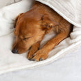 Load image into Gallery viewer, Dog & Puppy Blanket in Light Grey Essentials Plush
