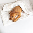 Load image into Gallery viewer, Dog & Puppy Blanket in Light Grey Essentials Plush
