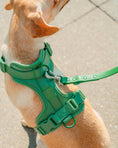 Load image into Gallery viewer, Wild One - Harness: Moonstone / MEDIUM
