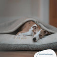Load image into Gallery viewer, Sleepy Burrows Bed in Mink Bouclé
