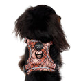 Load image into Gallery viewer, Pablo & Co. Boutique - Kensington: No Pull Adventure Harness: M
