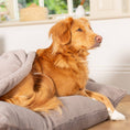 Load image into Gallery viewer, Sleepy Burrows Bed in Calming Anti-Anxiety Fawn Faux Fur
