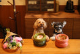 Load image into Gallery viewer, Soufflé Pet Bowl - Avocado Green
